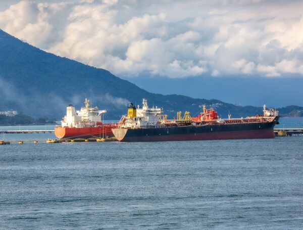 Logistics with Precision: Connecting Markets Across Continents